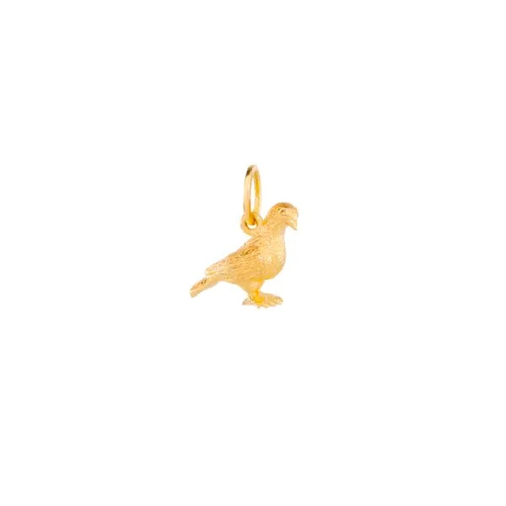 ISO Catbird x Vito’s Gems Pigeon Charm DO NOT BUY